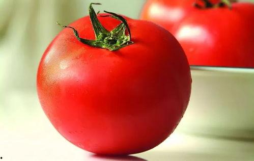 番茄娱乐圈读心吃瓜文,揭秘明星内心世界，吃瓜群众必备指南