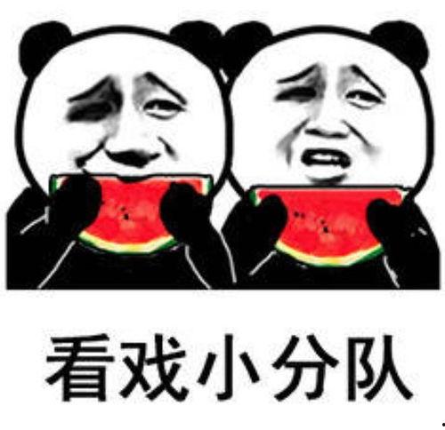 表情包的吃瓜是什么意思,网络热词背后的文化现象