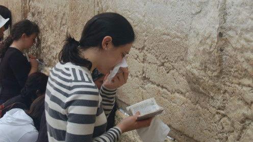 娱乐吃瓜君网红,揭秘网红背后的故事与真相