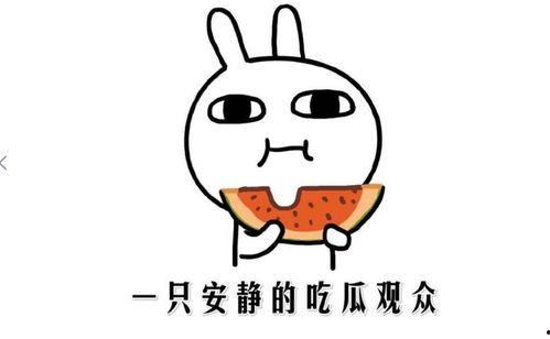 一起吃瓜是什么意思,网络热词背后的社交现象